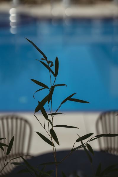 piscina